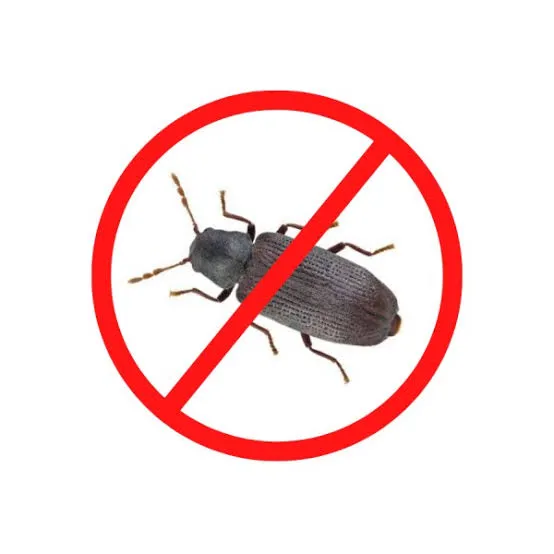 Wood Borer Control
